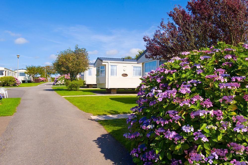 Wooda Farm Holidays Bude Zimmer foto